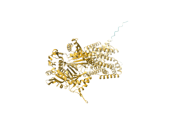 AF-D4I6V4-F1 image