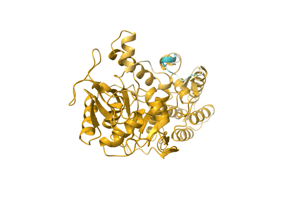 AF-D6Y1N8-F1 image