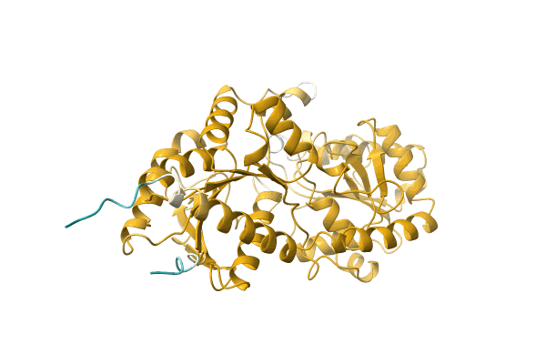 AF-D6Y4U7-F1 image