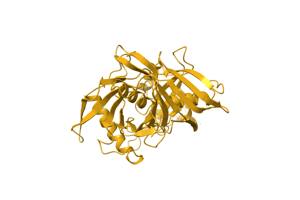 AF-D7A0Y1-F1 image