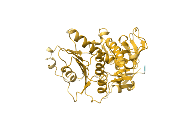 AF-F0QUB3-F1 image