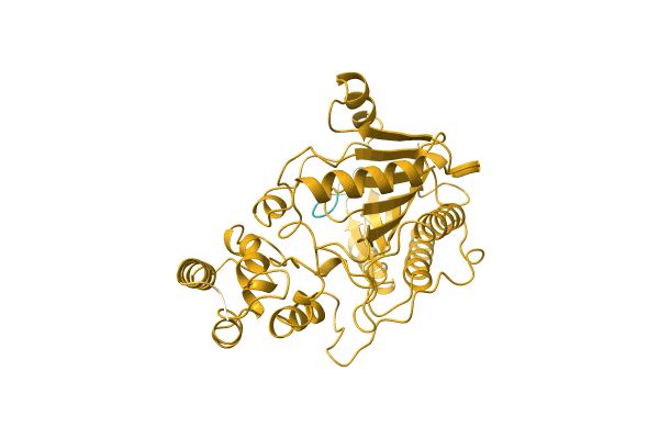 AF-H6VGI3-F1 image
