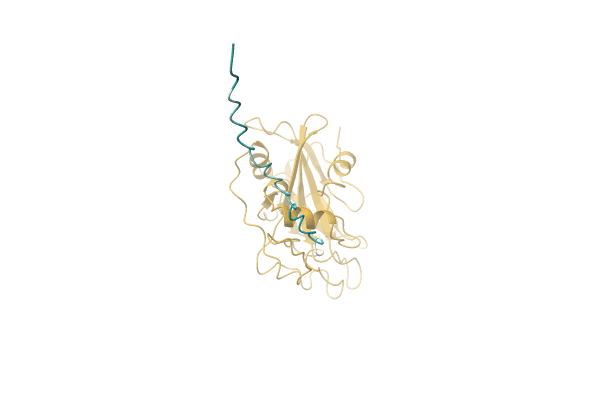 AF-L7NCQ4-F1 image