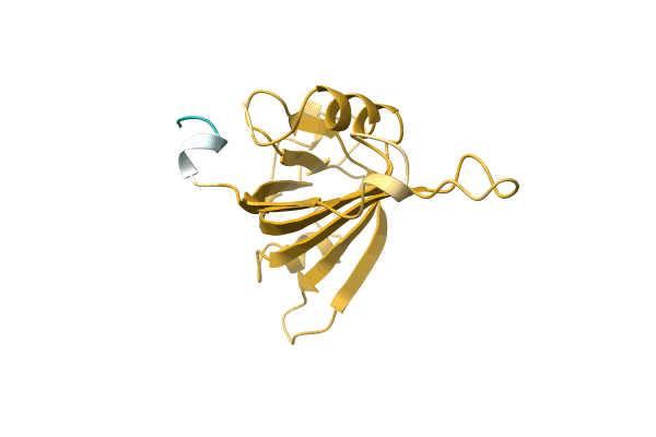 AF-L8EYU3-F1 image