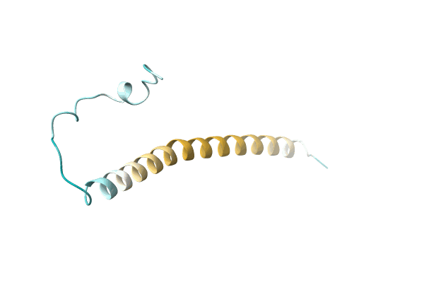 AF-O47493-F1 image