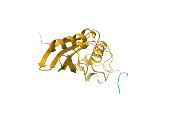 AF-O52646-F1 image