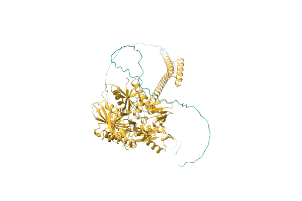 AF-O52960-F1 image