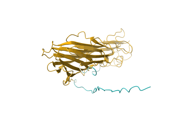 AF-O54082-F1 image