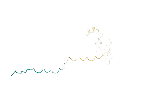 AF-O55175-F1 image