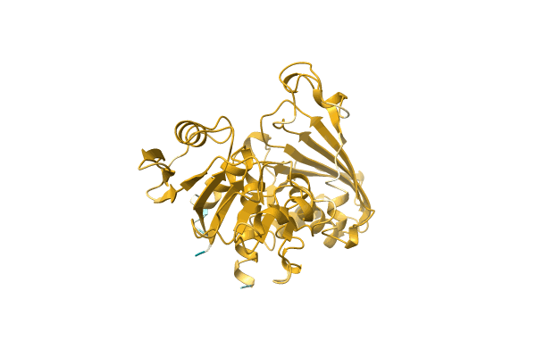 AF-O57479-F1 image