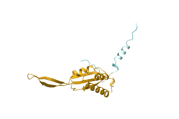 AF-O62952-F1 image