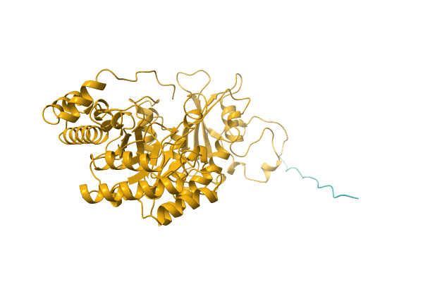 AF-O63094-F1 image