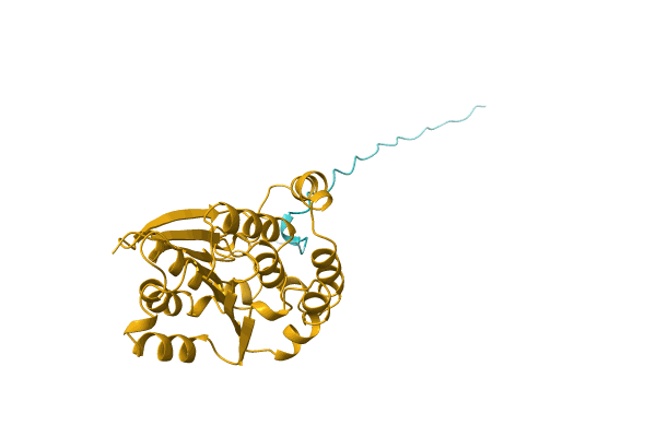 AF-O65162-F1 image