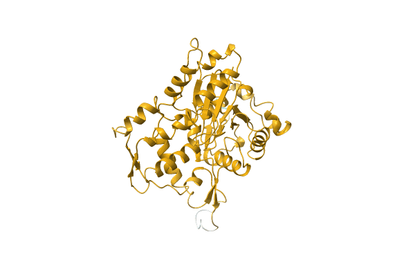 AF-O65314-F1 image