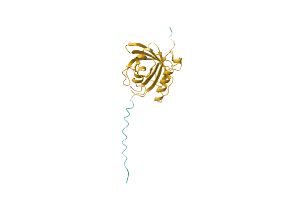 AF-O77422-F1 image