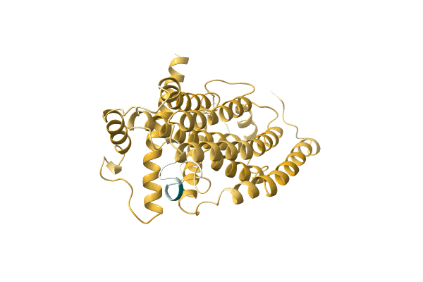 AF-O78694-F1 image