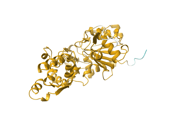 AF-O81221-F1 image
