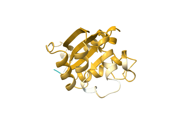 AF-O81372-F1 image