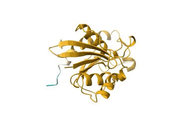 AF-O85235-F1 image