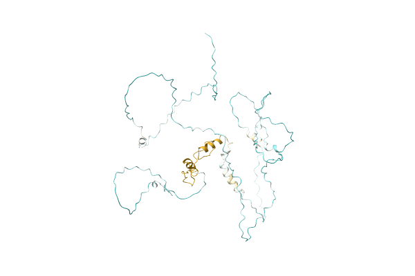 AF-O94131-F1 image