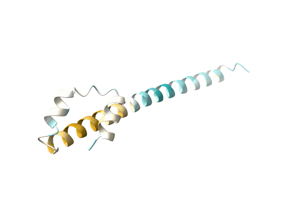 AF-O97395-F1 image