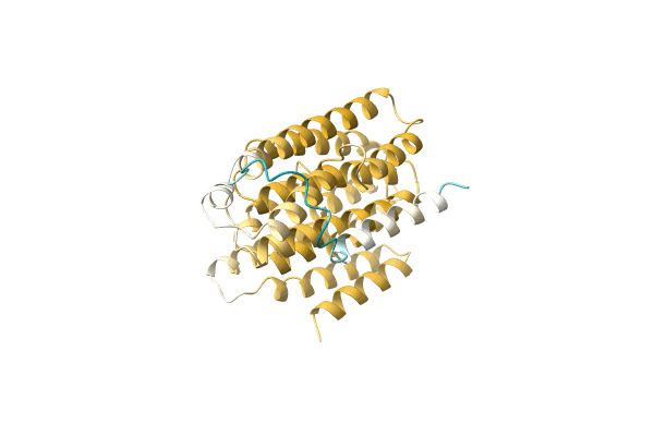 AF-O99817-F1 image