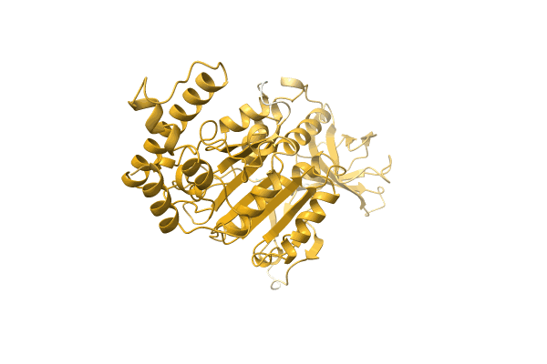AF-P0A1C2-F1 image