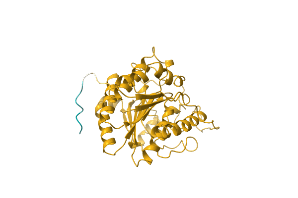 AF-P0A2Y1-F1 image