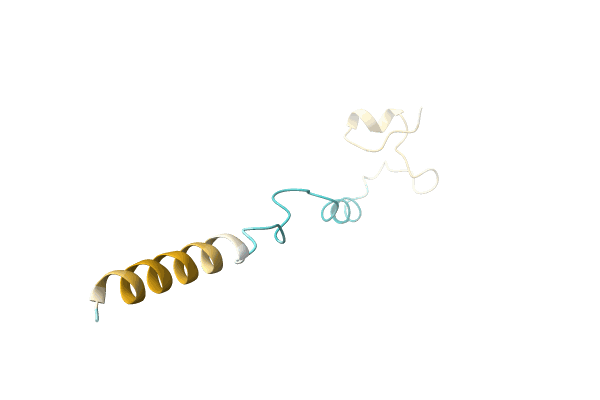 AF-P0C1N5-F1 image