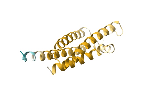 AF-P0C1T3-F1 image