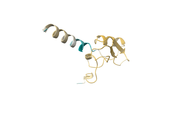 AF-P0C5I6-F1 image