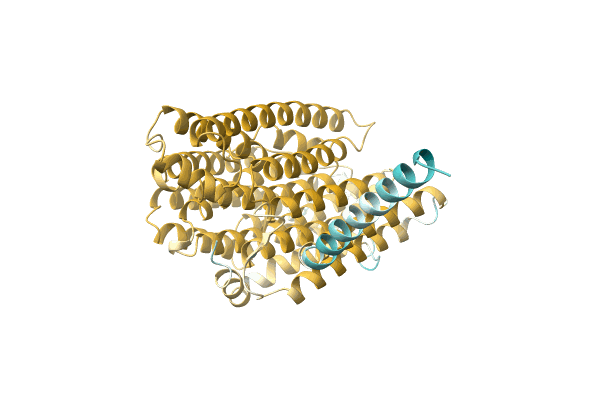 AF-P0CD43-F1 image