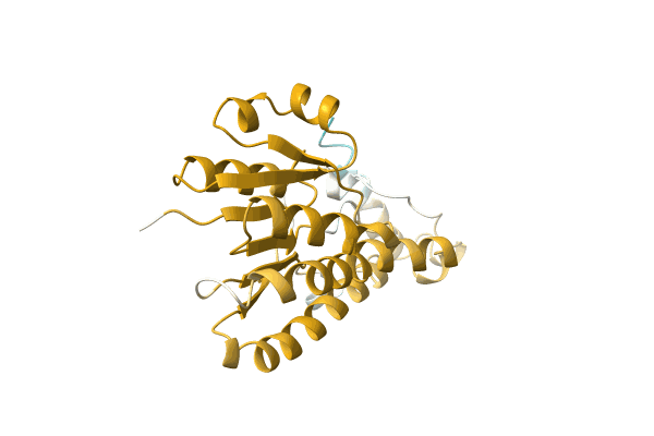AF-P0CU71-F1 image