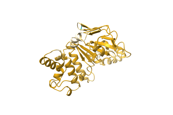 AF-P0CZ26-F1 image