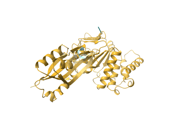 AF-P0CZ30-F1 image