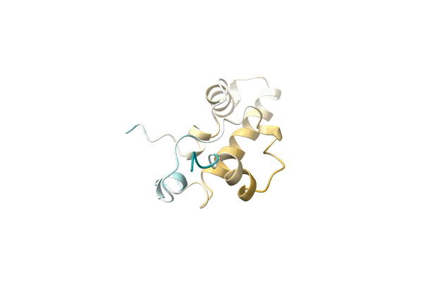 AF-P0DI91-F1 image