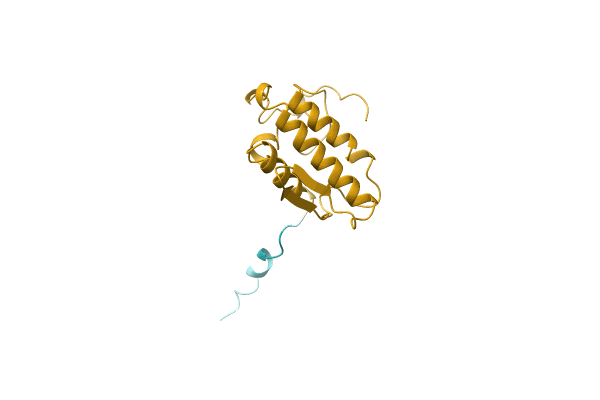 AF-P0DJJ8-F1 image