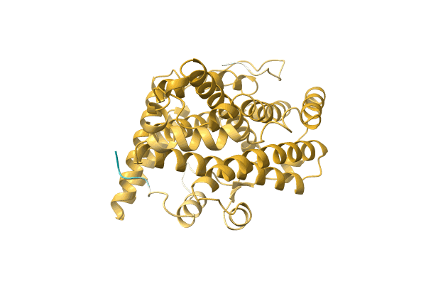 AF-P0DJN9-F1 image