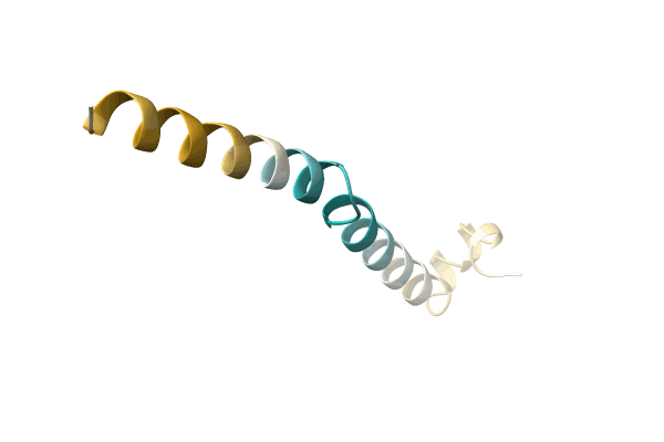 AF-P0DM23-F1 image