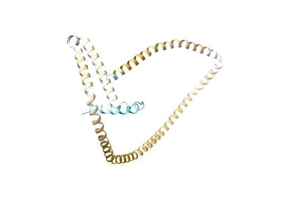 AF-P0DMA9-F1 image