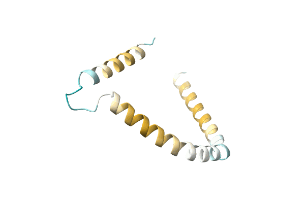 AF-P0DMT8-F1 image