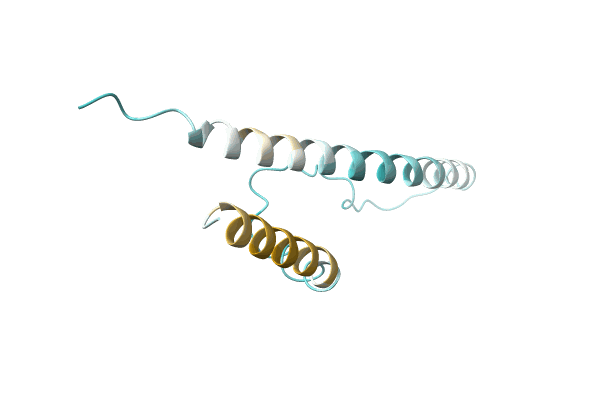 AF-P0DPX0-F1 image
