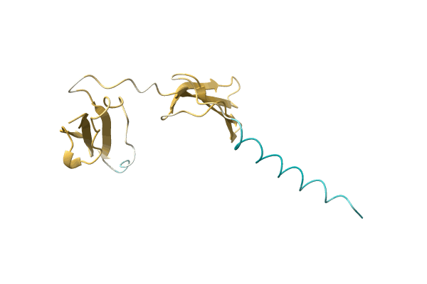 AF-P0DPZ3-F1 image