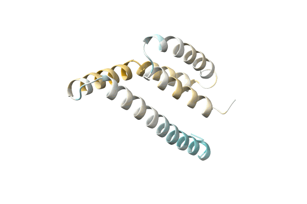 AF-P0DSK5-F1 image