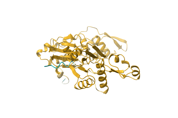 AF-P0DSO6-F1 image