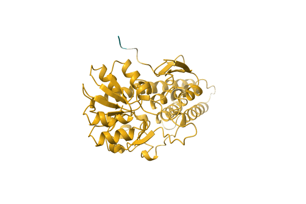 AF-P0DTQ1-F1 image