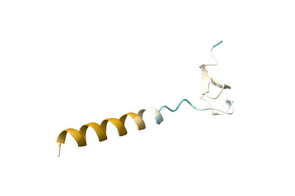 AF-P0DUH1-F1 image