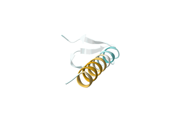 AF-P0DUH2-F1 image