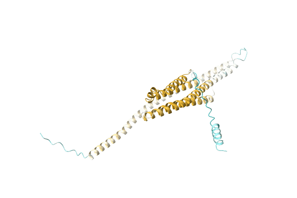 AF-P0DUJ1-F1 image