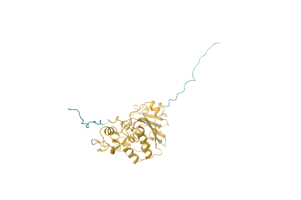 AF-P24476-F1 image